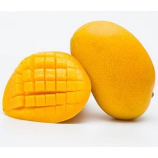 صورة مانجو تيمور